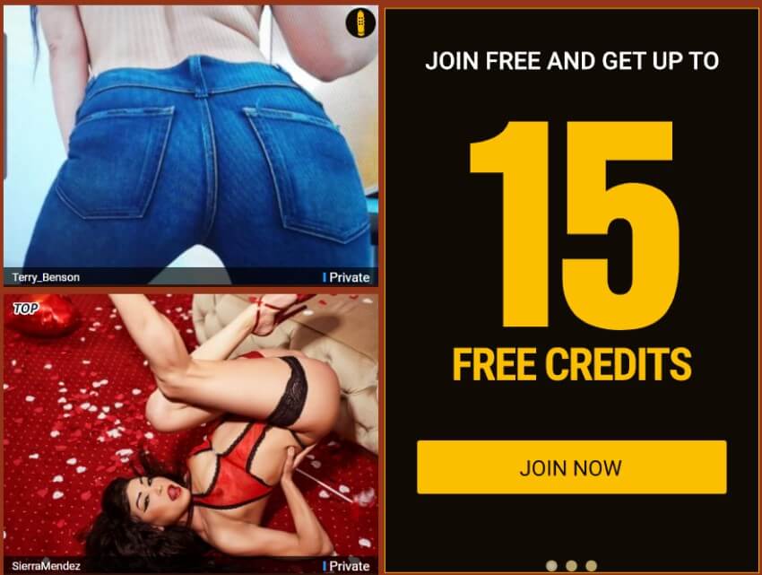 join phone mates and get 15 free credits