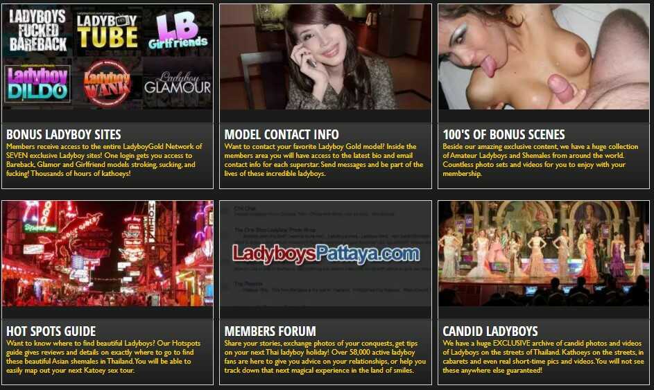 thai ladyboy porn network